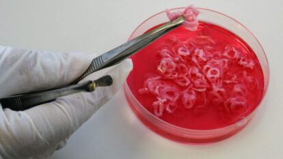 El Reino Unido da un paso histórico con la comercialización de carne cultivada en laboratorio