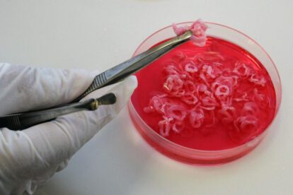 El Reino Unido da un paso histórico con la comercialización de carne cultivada en laboratorio