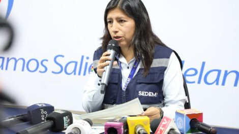 Subsidios Prenatal y Lactancia en Bolivia
