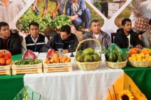 Rueda de negocios de frutas y hortalizas