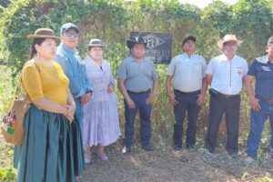 Malversación en pozo Lliquimuni en Bolivia