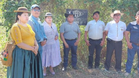 Malversación en pozo Lliquimuni en Bolivia