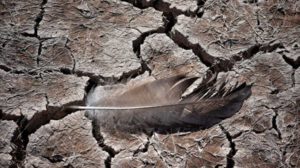 Crisis del agua en Bolivia: La Sed Verdadera de Marcelo Meneses
