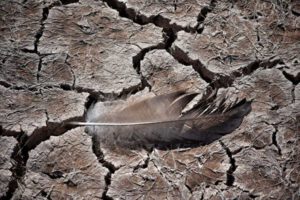 Crisis del agua en Bolivia: La Sed Verdadera de Marcelo Meneses