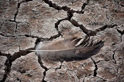 Crisis del agua en Bolivia: La Sed Verdadera de Marcelo Meneses