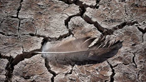 Crisis del agua en Bolivia: La Sed Verdadera de Marcelo Meneses