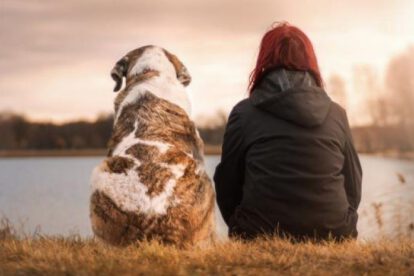 Los perros pueden detectar el estrés humano