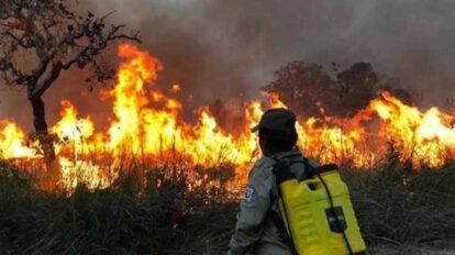 incendios forestales en Santa Cruz