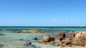 Joven en estado crítico tras ataque de tiburón blanco en Australia