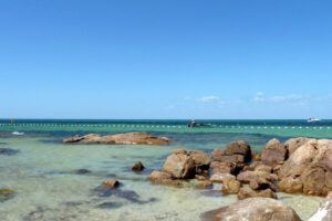 Joven en estado crítico tras ataque de tiburón blanco en Australia