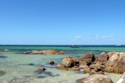 Joven en estado crítico tras ataque de tiburón blanco en Australia