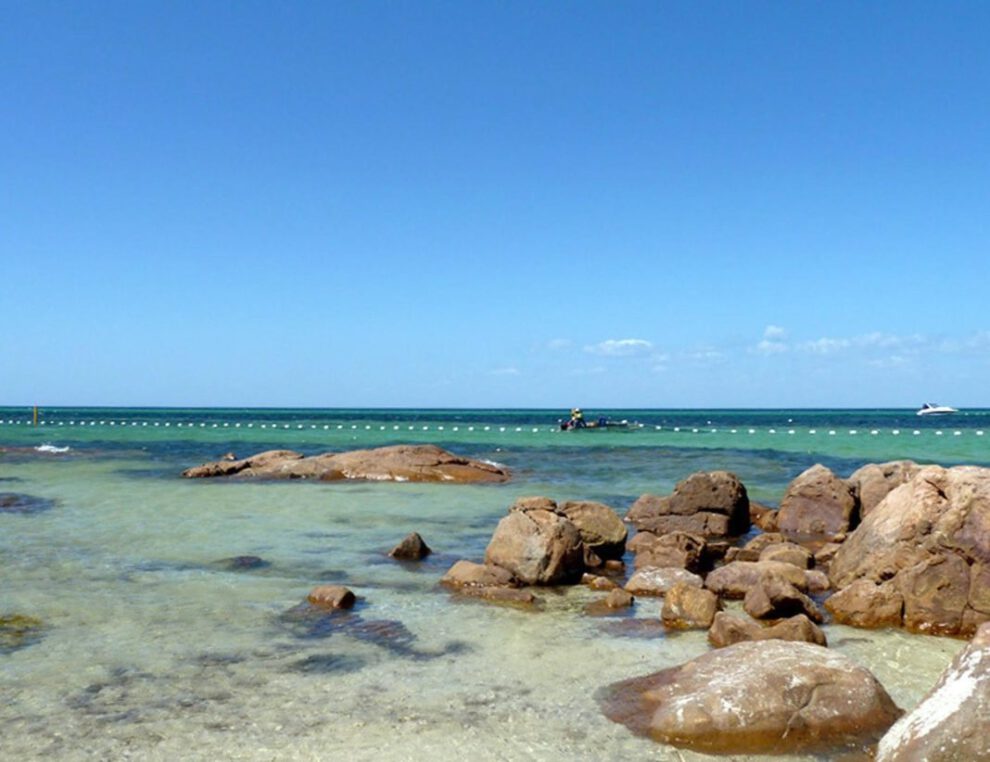 Joven en estado crítico tras ataque de tiburón blanco en Australia