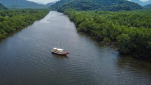 Bosques y gas metano en la región de Mauá, Brasil