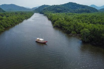 Bosques y gas metano en la región de Mauá, Brasil