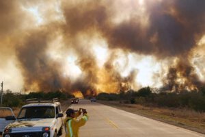 Incendios forestales en Roboré