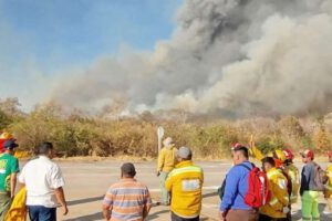 Incendios forestales en Roboré devastan más de 10 mil hectáreas