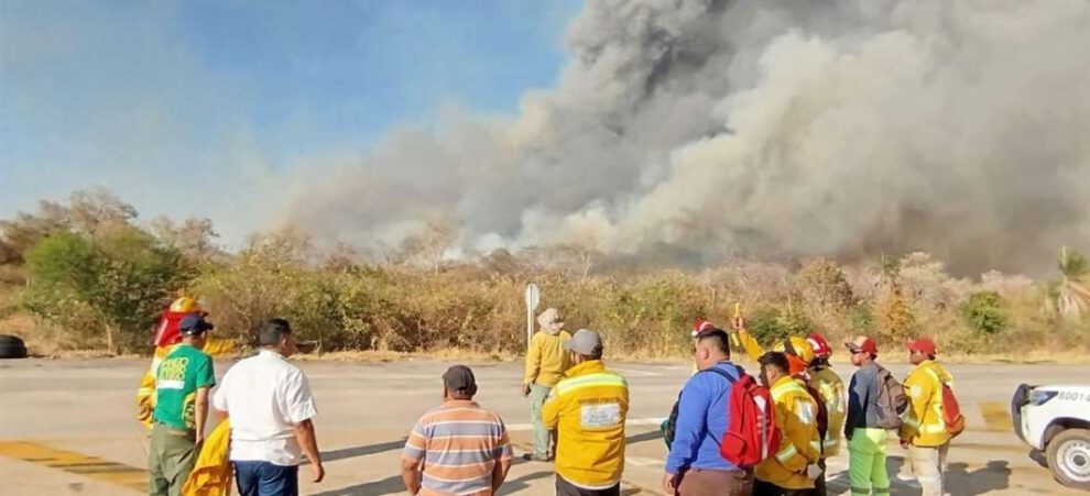 Incendios forestales en Roboré devastan más de 10 mil hectáreas