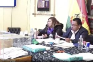 acusaciones de senadora Patricia Arce en audiencia de preselección de magistrados