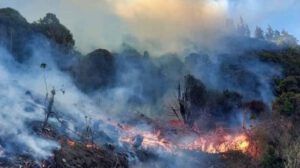 Incendios forestales en Cochabamba