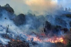 Incendios forestales en Cochabamba