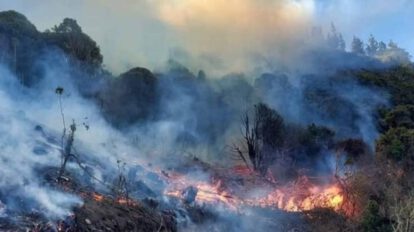 Incendios forestales en Cochabamba