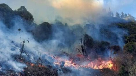 Incendios forestales en Cochabamba