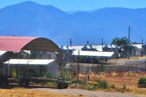 granja porcina de Toco