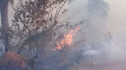 incendio forestal Guarayos