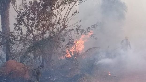 incendio forestal Guarayos