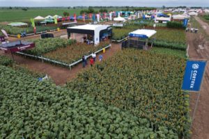 Crisis económica de Bolivia en el sector agropecuario