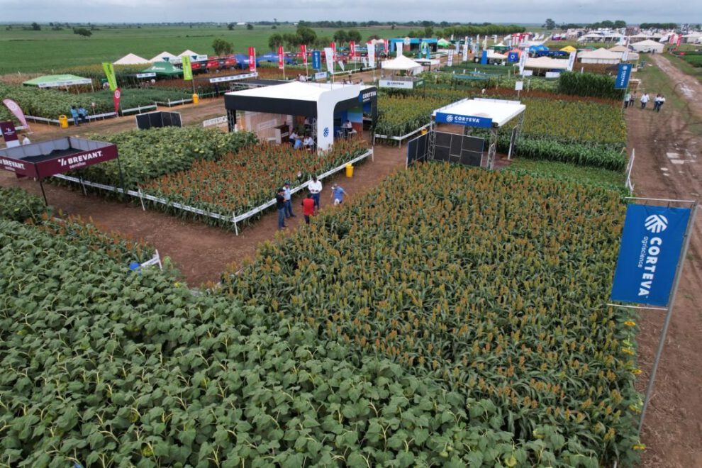 Crisis económica de Bolivia en el sector agropecuario