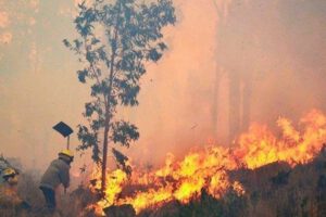 Incendios forestales en la Chiquitania
