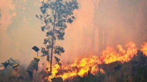 Incendios forestales Chiquitania