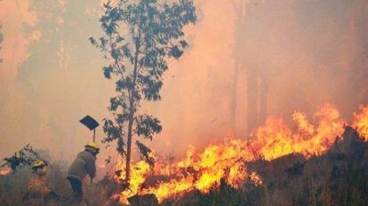 Incendios forestales Chiquitania