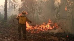 Incendios forestales en Bolivia afectan áreas naturales y derechos de la población