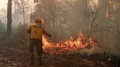 Incendios forestales en Bolivia afectan áreas naturales y derechos de la población