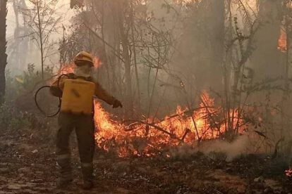 Incendios forestales en Bolivia afectan áreas naturales y derechos de la población