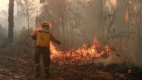 Incendios forestales en Bolivia afectan áreas naturales y derechos de la población