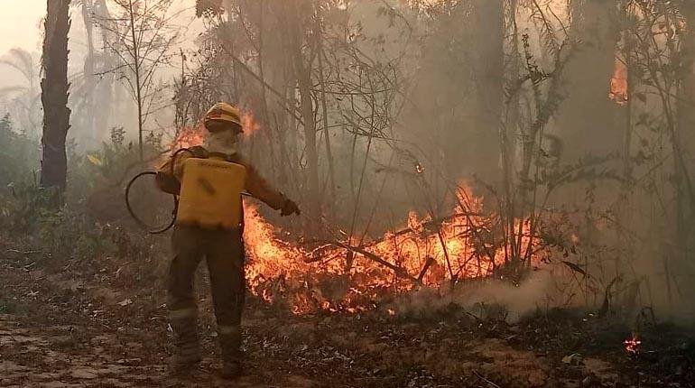 Incendios forestales en Bolivia afectan áreas naturales y derechos de la población