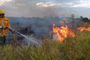 Crisis ambiental en Bolivia con más de 10 mil focos de calor registrados