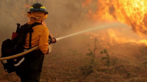 Bomberos forestales en Bolivia refuerzan combate contra incendios