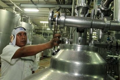 Estabilidad en el costo de la leche