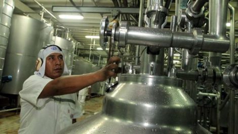 Estabilidad en el costo de la leche