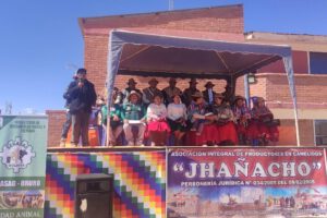 VIII Expoferia de Camélidos Salinas-Challacota Belén