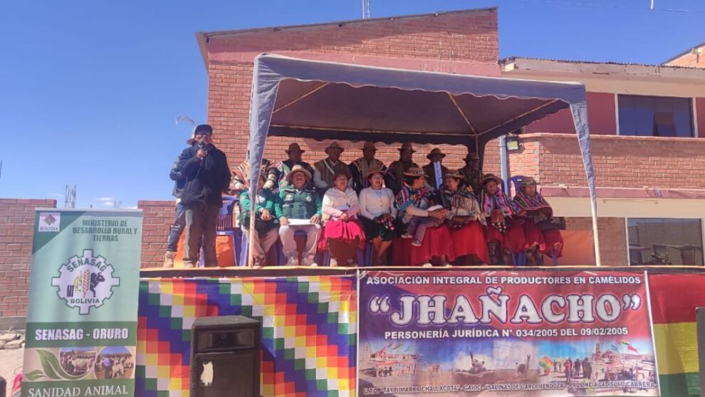 VIII Expoferia de Camélidos Salinas-Challacota Belén