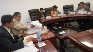 Anulación de elecciones primarias en la Cámara de Diputados