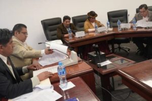 Anulación de elecciones primarias en la Cámara de Diputados