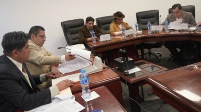 Anulación de elecciones primarias en la Cámara de Diputados