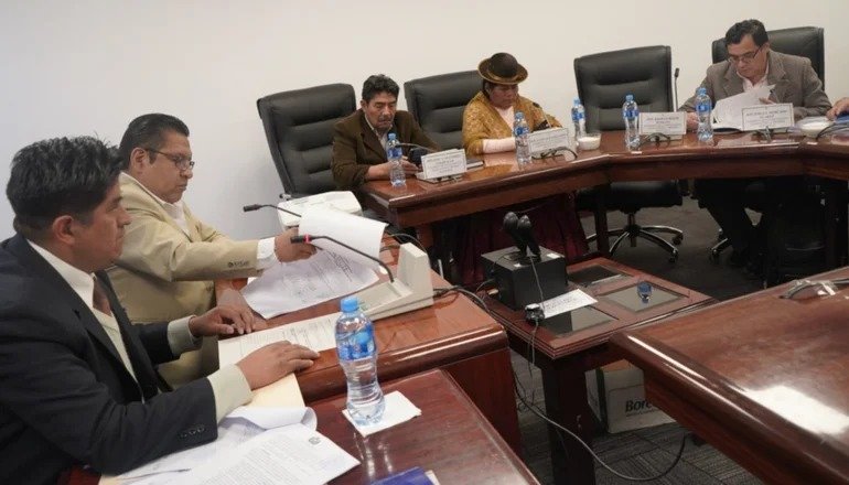 Anulación de elecciones primarias en la Cámara de Diputados