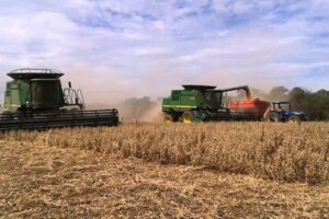 Crisis agropecuaria en Bolivia por falta de diésel y dólares